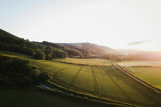 South Downs National Park